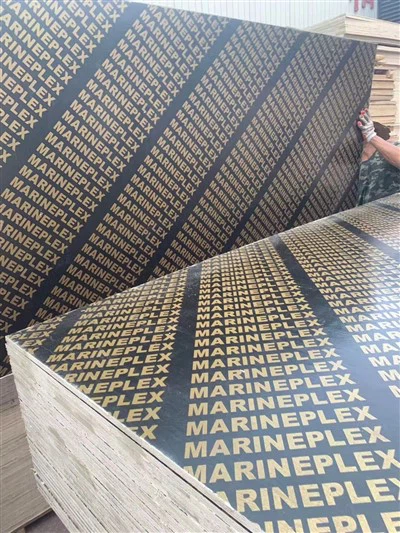 フェノール合板